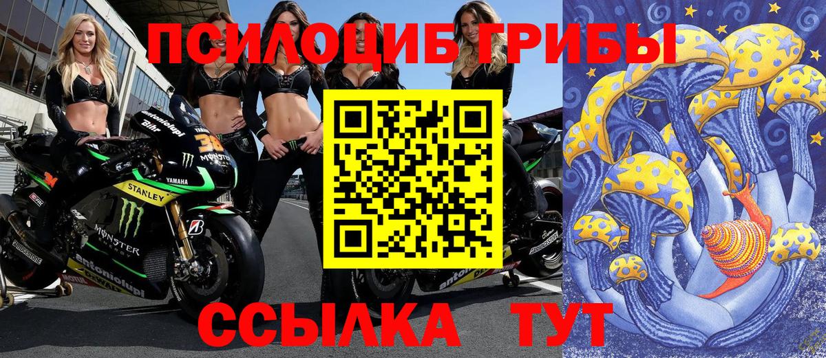 Псилоцибиновые грибы ЛСД Дмитров